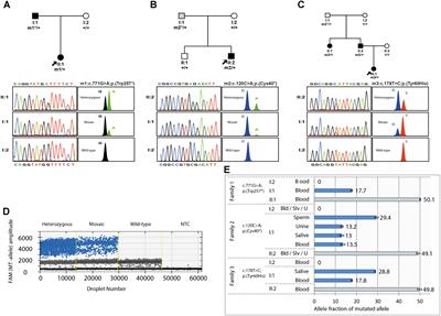 Parental Mosaicism in PAX6 Causes Intra-Familial Variability: Implications for Genetic Counseling of Congenital Aniridia and Microphthalmia